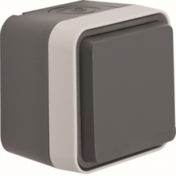 Berker W.1 GNIAZDO Z UZIEMIENIEM Z POKRYWĄ szare