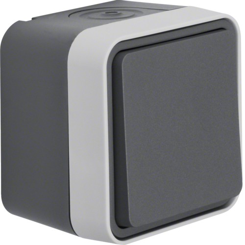 Berker W.1 WYŁĄCZNIK SCHODOWY szary